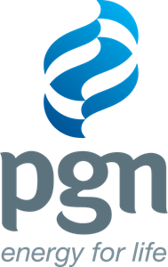 PGN (PGAS Solution)